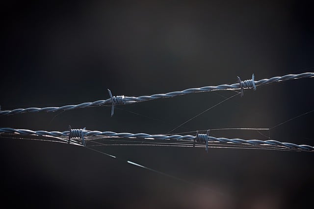 skin barrier repair the korean skincare